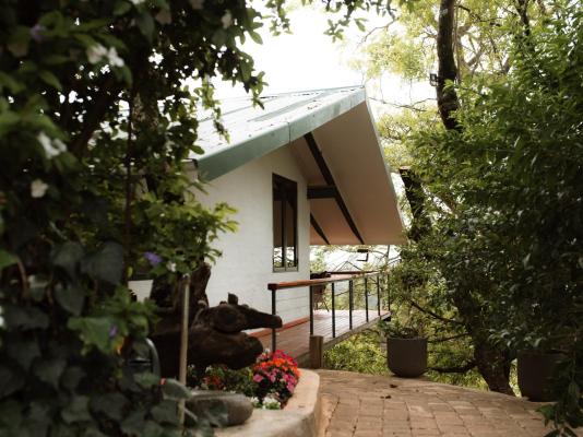 Magoebaskloof Mountain Estate - 263383