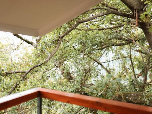 Magoebaskloof Mountain Estate - 263400