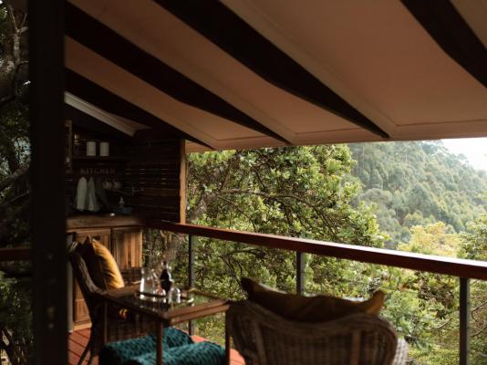 Magoebaskloof Mountain Estate - 263405