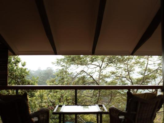 Magoebaskloof Mountain Estate - 263406