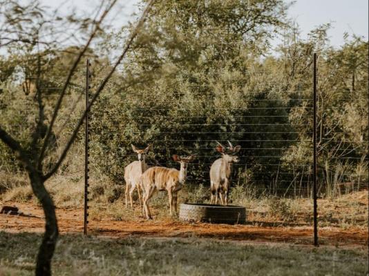 Featherwood Farm - 263411