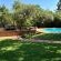 Featherwood Farm - 263414