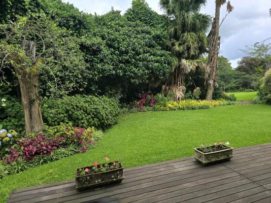 Birds of Paradise B&B - 263449