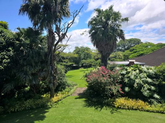 Birds of Paradise B&B - 263452