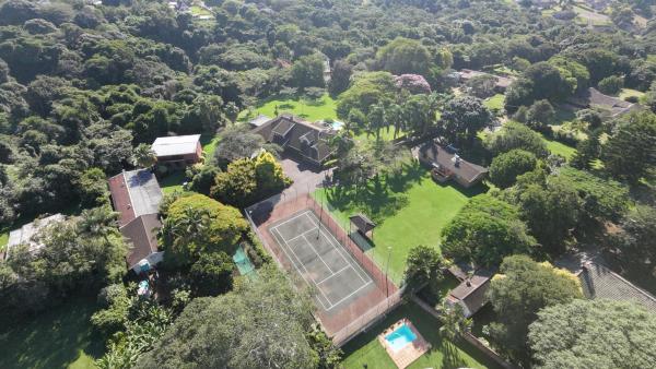 Birds of Paradise B&B - 263453