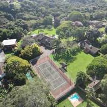 Birds of Paradise B&B - 263453