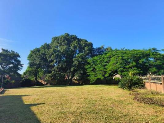 Masithandane Lodge - Garden