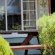 Dullstroom Artist Cottages - 263772