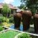 The Lapha Guesthouse and Conference Centre - 263802
