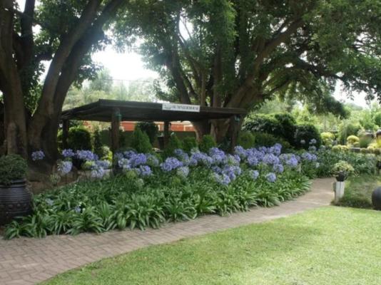 The Lapha Guesthouse and Conference Centre - 263804