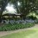 The Lapha Guesthouse and Conference Centre - 263804