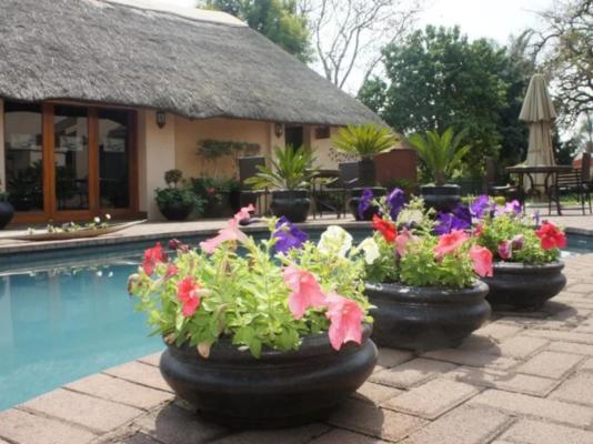 The Lapha Guesthouse and Conference Centre - 263805