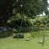 The Lapha Guesthouse and Conference Centre - 263807