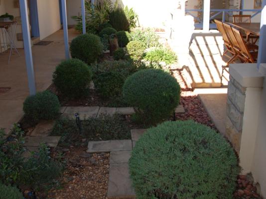 Sandstone Chameleon Guest House - 263838