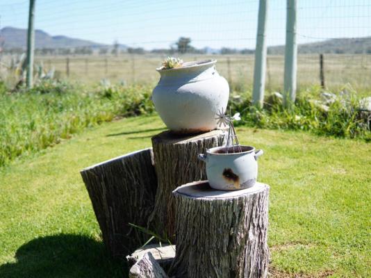 Aloes Guest House - 263875