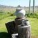 Aloes Guest House - 263875