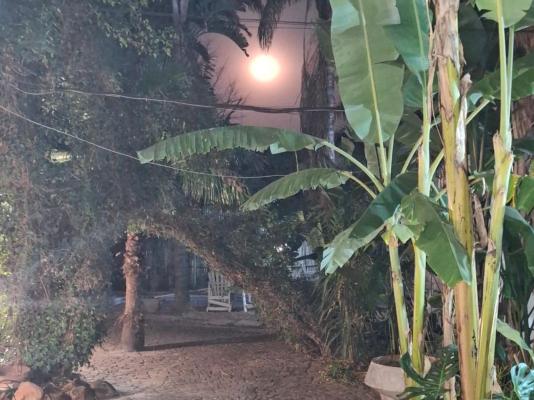 Brooklyn Guesthouses - 263936