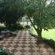 Belmont Guesthouse - 263990