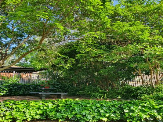 Belmont Guesthouse - 263994