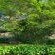 Belmont Guesthouse - 263994