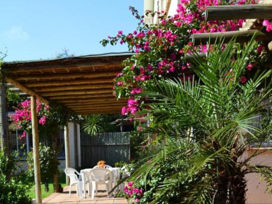 Doves Nest Guest House - 264135