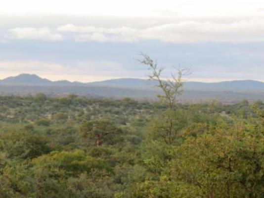 Hemelgrond - Neighbourhood