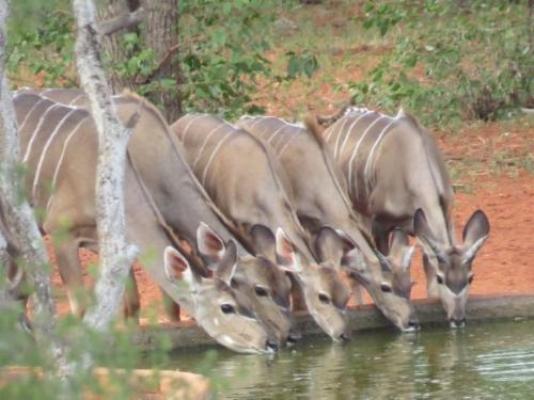 Hemelgrond - Neighbourhood