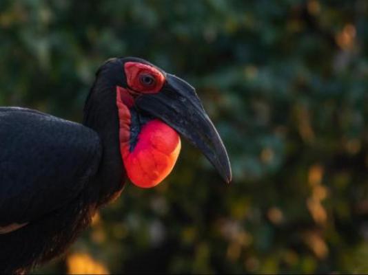 Hemelgrond - Natural landscape