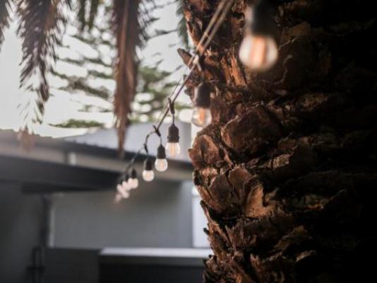 Durbanville Self Catering Apartments - Garden