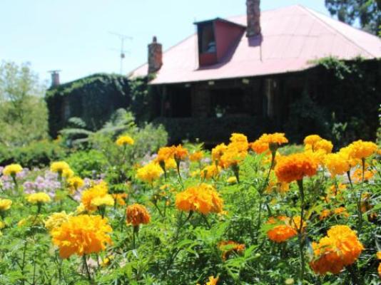 Gender Links Cottages - Garden