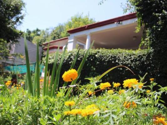 Gender Links Cottages - Garden