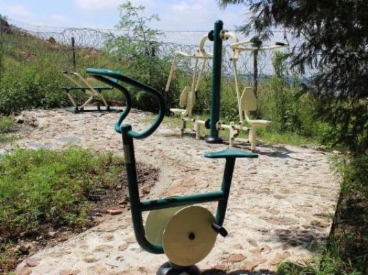 Gender Links Cottages - Garden