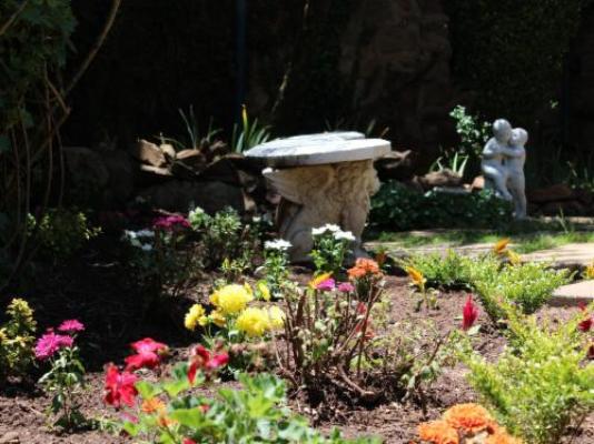 Gender Links Cottages - Garden