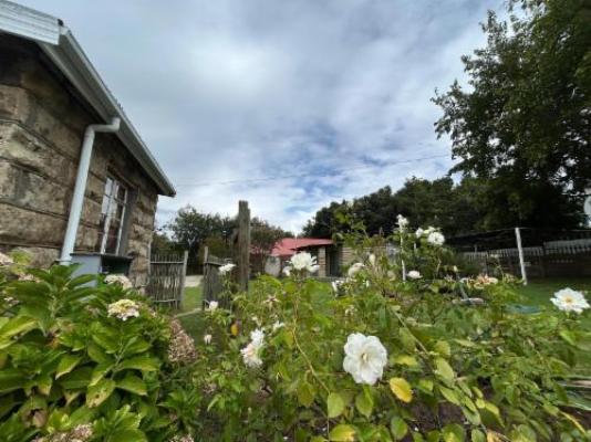 Bella Rosa - Garden