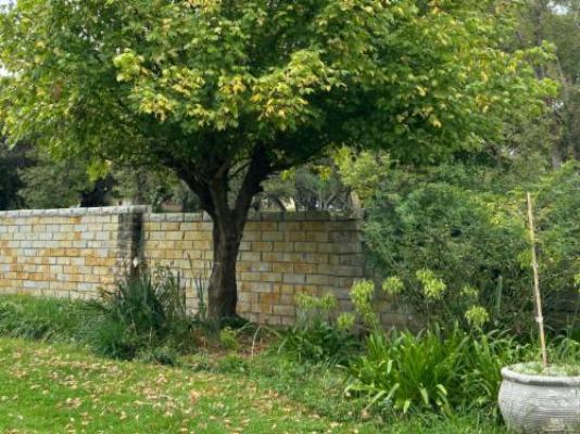 Bella Rosa - Garden