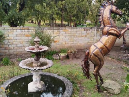 Bella Rosa - Garden view