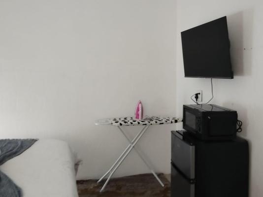 Bella Rosa - 264465