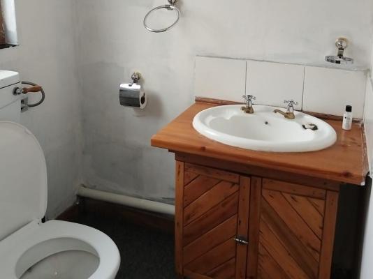 Bella Rosa - 264467