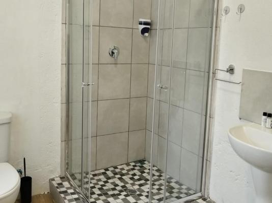 Bella Rosa - 264468