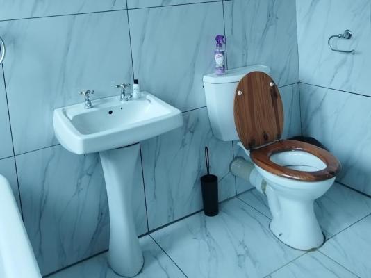 Bella Rosa - 264469