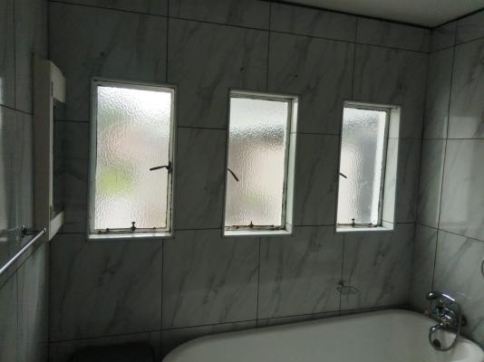 Bella Rosa - 264474