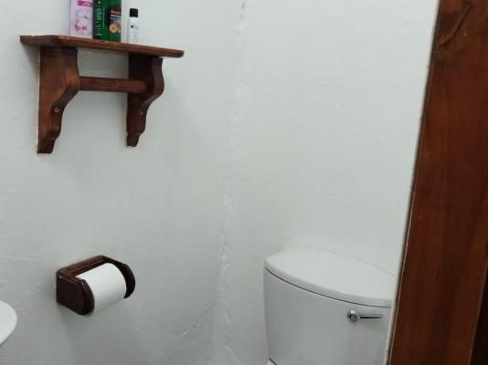 Bella Rosa - 264475