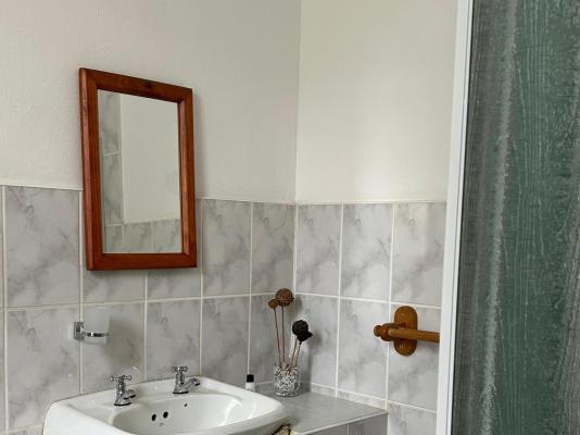 Bella Rosa - 264476