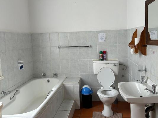 Bella Rosa - 264477