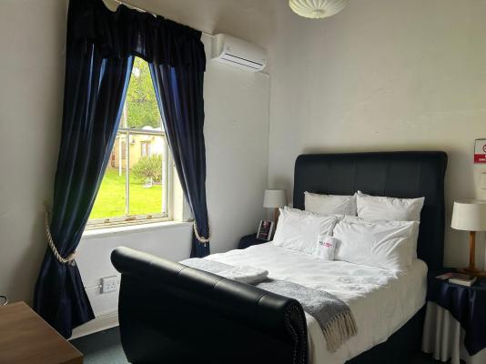 Bella Rosa - 264478