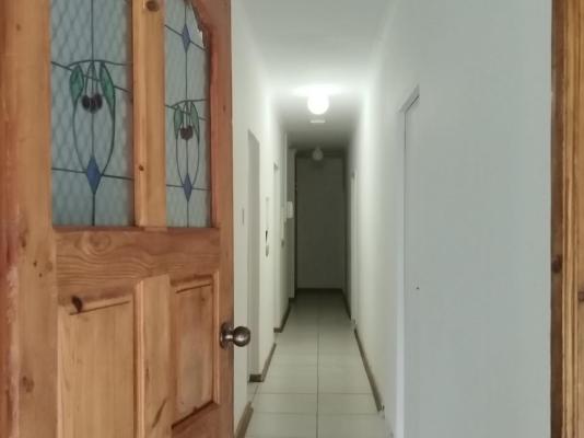 Bella Rosa - 264482