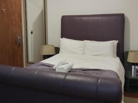 Bella Rosa - 264484