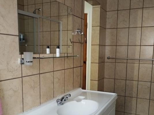 Bella Rosa - 264487