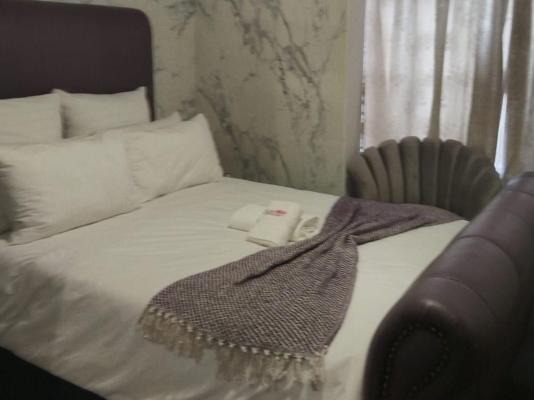 Bella Rosa - 264488