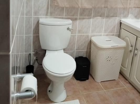 Bella Rosa - 264494